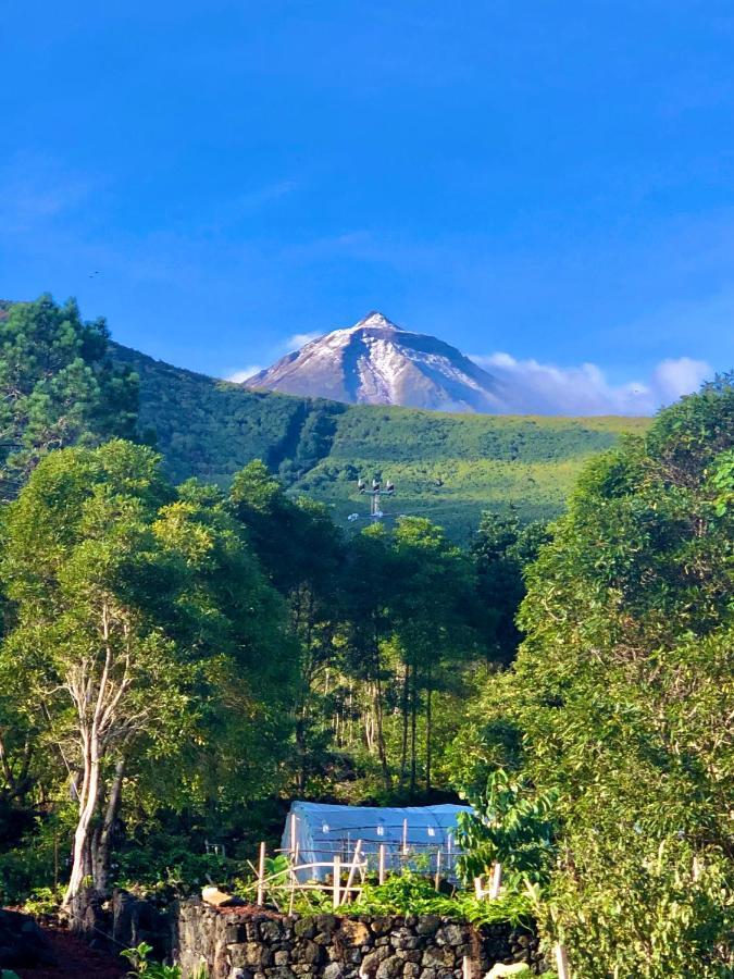 Quinta Pereirinha Farm - A Private 3 Bedroom Vacation Home, Close To Hiking W Ocean Views - Pico Island, Azores São Roque do Pico Esterno foto